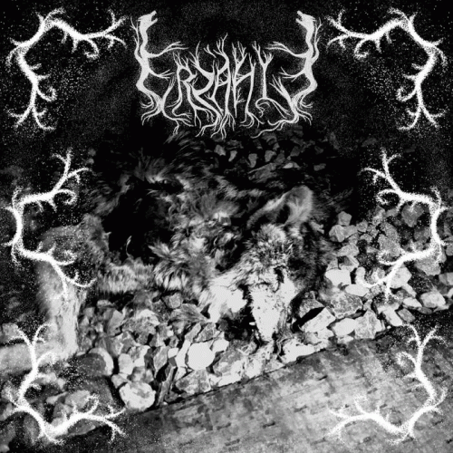 Lighting the Path to Eternity